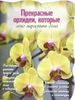 Прекрасные орхидеи, которые легко вырастить дома