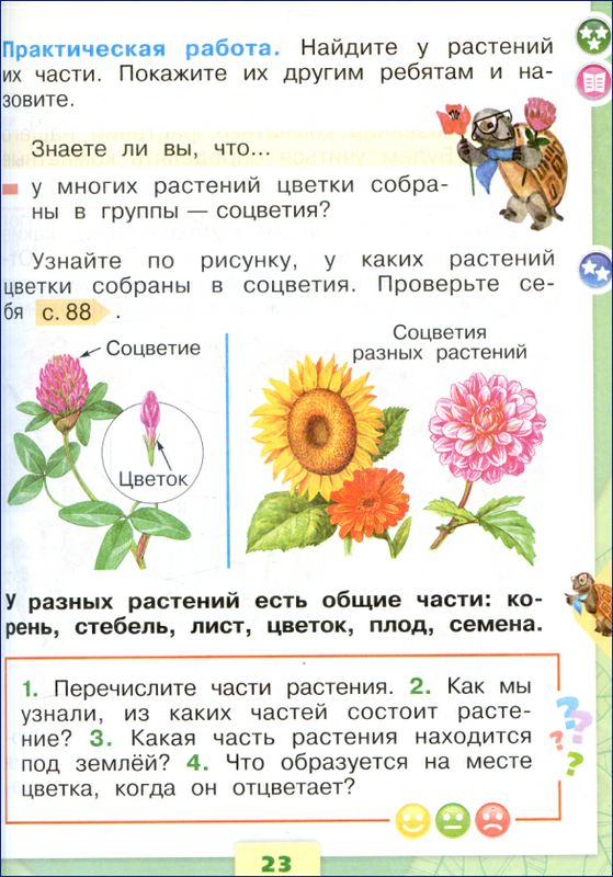 Из чего что сделано 2 класс окружающий мир презентация плешаков