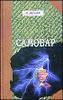 Самовар. Б.Вавилонская