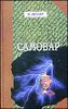 Самовар. Б.Вавилонская