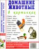 Домашние животные в картинках 