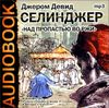 Над пропастью во ржи. Аудиокнига (MP3 – 1 CD) 