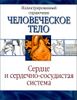 Сердце и сердечно-сосудистая система. Челочеческое тело.  Иллюстрированный справочник