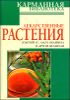 Лекарственные растения. Золотой ус, алоэ, облепиха и другие целители