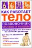 Как работает тело: позвоночник, суставы и мышцы