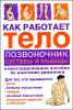 Как работает тело: позвоночник, суставы и мышцы