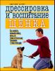 Дрессировка и воспитание щенка 