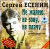 Не жалею, не зову, плачу …  Аудиокнига (MP3 – 1 CD)