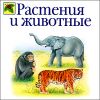 Растения и животные 