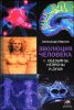 Эволюция человека. Книга 2. Обезьяны, нейроны и душа