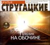 Пикник на обочине.  Аудиокнига (MP3 – 1 CD)