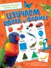 Изучаем цвета и формы